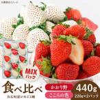 こころの色×かおり野 計440g