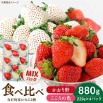 こころの色×かおり野 計880g