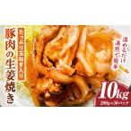 玉ねぎ入り豚肉の生姜焼き 10kg