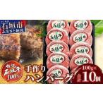 ふるさと納税 石垣牛 ハンバーグ セット (100g×10個)＜2026年5月発送＞ | 国産 石垣牛100% 沖縄 石垣島産 高級 黒毛和牛 ビーフ ハンバーグ.. 沖縄県石垣市