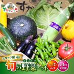 よこすか野菜セット すかなボックス 野菜