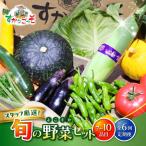 よこすか野菜セット すかなボックス 野菜