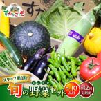 よこすか野菜セット すかなボックス 野菜
