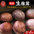 原木生しいたけのと115 wa035 生しいたけ