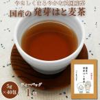 発芽はと麦茶:A085-015