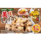 美咲しょうが 1kg