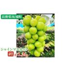 ふるさと納税 冷蔵シャインマスカット 約1.2kg 粒 秀品 柳澤果樹園 ぶどう 長野 マスカット ブドウ フルーツ 果物 シャイン 果物類 長野県坂城町