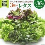 富山のおいしい水で生産した安心野菜 6袋
