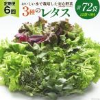富山のおいしい水で生産した安心野菜 12袋