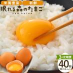 眠れる森のたまご 朝採れ卵40個 たまご