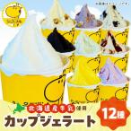 カップジェラートセット 12種類