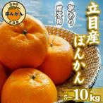 立目産 ポンカン 5kg