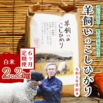 コシヒカリ 瀬戸内三原 羊飼いのこしひかり