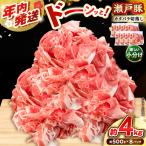 瀬戸豚 カタバラ切り落とし 4kg