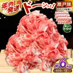 瀬戸豚 カタバラ切り落とし 6kg
