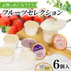 アイス 6個×100ml