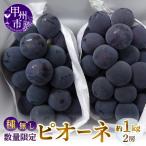 種なしピオーネ 約1kg
