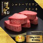 博多和牛 A5 A4 ヒレ シャトーブリアン