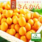 完熟きんかん 金柑 約2kg
