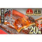のうなぎ蒲焼 無頭 20尾