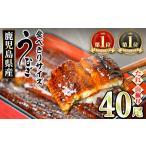 のうなぎ蒲焼 無頭 40尾