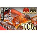 のうなぎ蒲焼 無頭 100尾