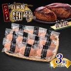 自家製和牛ハンバーグ 生 冷凍個別真空 3個セット