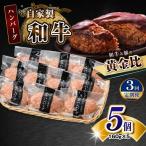 自家製和牛ハンバーグ 生 冷凍個別真空 5個セット