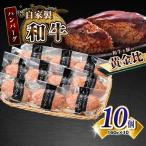 自家製和牛ハンバーグ 生 冷凍個別真空 10個セット