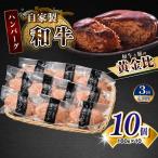 自家製和牛ハンバーグ 生 冷凍個別真空 10個セット