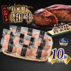 自家製和牛ハンバーグ 生 冷凍個別真空 10個セット