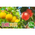 ふるさと納税 《2026年産 先行受付》山形県産 白桃・黄桃ミックス 秀品 約3kg 柔らかくなる桃 品種・玉数 おまかせ F4A-0974 山形県中山町