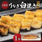 産うなぎ 白焼き 135g~以上 1尾