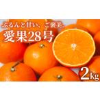 ふるさと納税 【2025年11月下旬頃順次発送】 あいか28号 2kg 愛果28号 愛媛 みかん あいか あいか28号 愛果 愛果28号 紅マドンナ 紅まどんな と.. 愛媛県松山市
