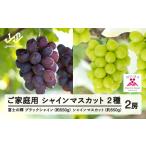 ショッピングふるさと納税 シャインマスカット ふるさと納税 【先行予約】ぶどう 富士の輝 約550g シャインマスカット セット ご家庭用 令和8年産 2026年産 山形県山辺町産 ブラックシャインマ.. 山形県山辺町