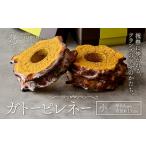 ふるさと納税 お菓子 ガトーピレネー 小 パティスリーレタンプリュス 千葉県流山市