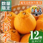 大将季 12個