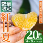 紅甘夏 約20kg