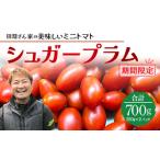 fu.... налог { время ограничено } рисовое поле . san .. прекрасный тест .. мини помидоры shuga- слива ( примерно 700g)GP-1l Кагосима префектура юг большой . прямая поставка от производителя .... помидор mi.. Кагосима префектура юг большой . блок 