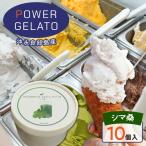 POWER gELATO 沖永良部島産 塩ちんすこうバニラ 90ml