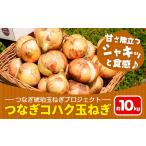 玉ねぎ コハク 10kg
