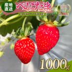 希少苺 べにたま 1000g