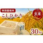 コシヒカリ 特別栽培米 玄米 30kg
