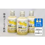 湘南ゴールドスカッシュ 290ml×24本入り