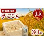 夢ごこち 特別栽培米 玄米 30kg