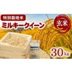 ミルキークイーン 特別栽培米 玄米 30kg