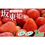 ふるさと納税 坂東姫 1kg 不揃い訳あり｜いちご 苺 イチゴ 訳あり 坂東太郎 果物 フルーツ 紅ほっぺ オリジナル ブランド 期間限定 季節物 茨城.. 茨城県古河市
