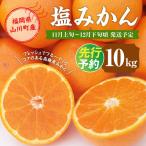 A158 山川産 塩みかん 10kg
