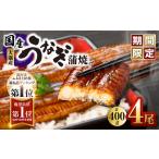 ふるさと納税 【期間限定】 鹿児島県 大隅産 うなぎ 蒲焼 4尾（400g） KN007-023 国産 鹿児島県鹿屋市