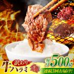 味付けハラミ 500g